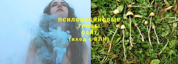 не бодяженный Касимов