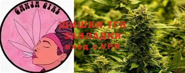 дурь Карпинск