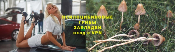 не бодяженный Касимов