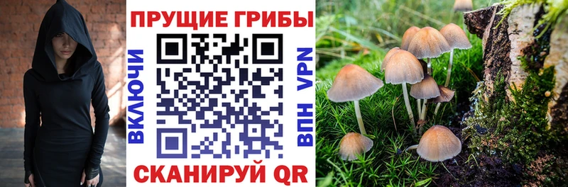 Псилоцибиновые грибы Cubensis  Купить закладки  Йошкар-Ола 